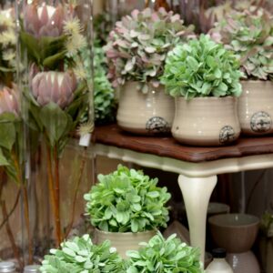 Plant_Paradise_Gifts_Decor_1-scaled