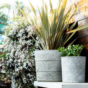 Plant_Paradise_Outdoor_Pots_4-scaled