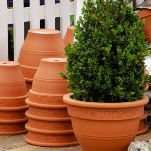 Plant_Paradise_Terracotta_Pots_1