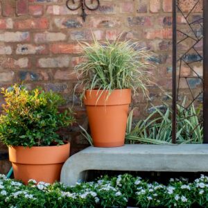 Plant_Paradise_Terracotta_Pots_2-scaled