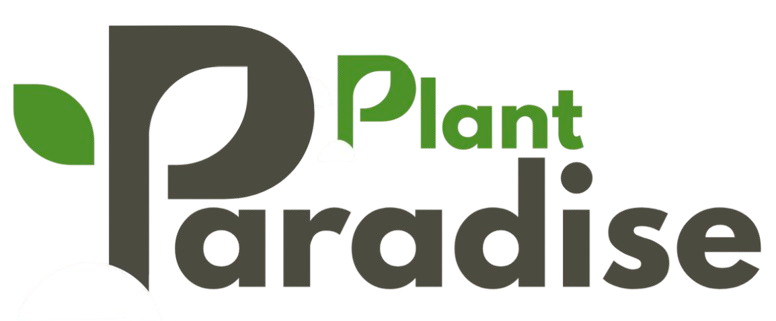 Screenshot_2026-01-26_at_16.16.49-removebg-preview